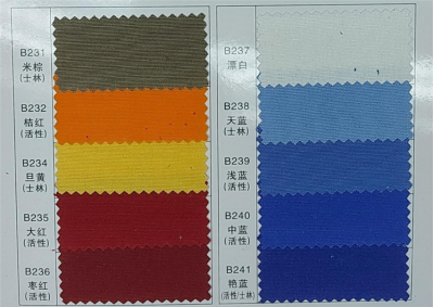 YL  全棉帆布   100%C    21/2*10     72*40    1/1    ≥250g/m   58″-59″    正面照